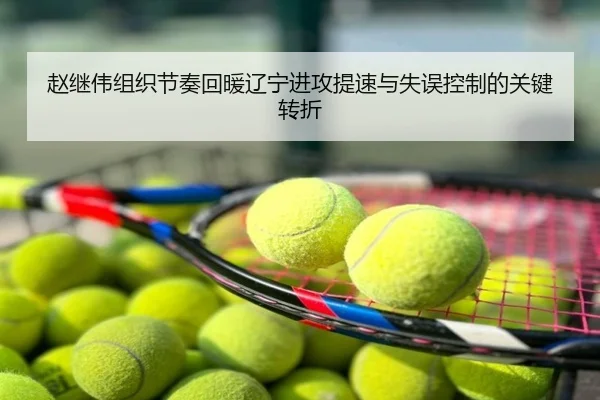 赵继伟组织节奏回暖辽宁进攻提速与失误控制的关键转折